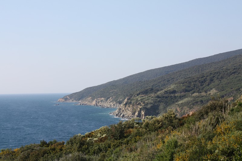 Immagine:IMG 9028.jpg