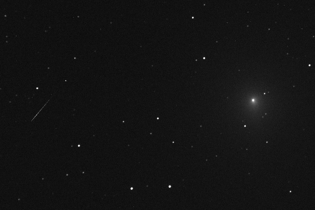 Immagine:46P-032L_cometa_-_meteora_elab_crop.jpg