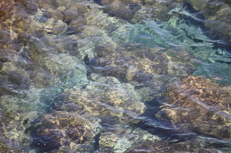 Immagine:IMG 8951.jpg