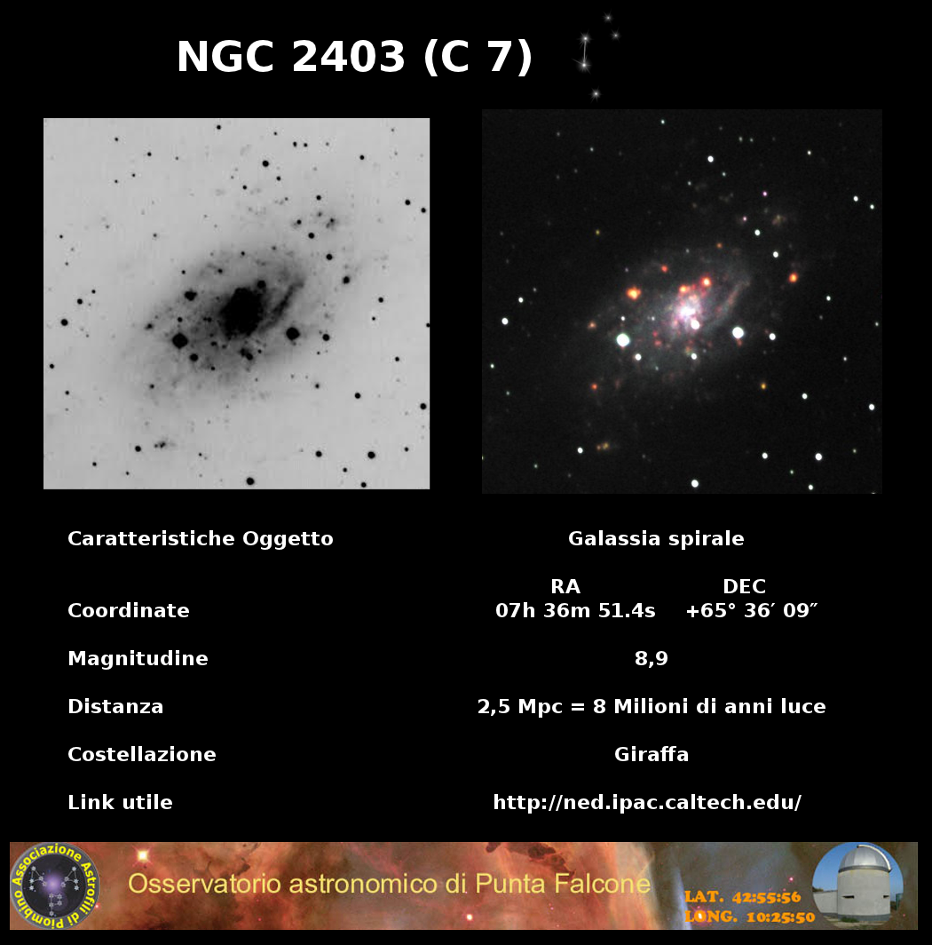 Immagine:NGC2403de.png