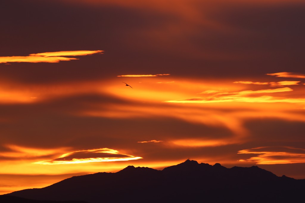 Immagine:2018_12_21_tramonto_8.JPG