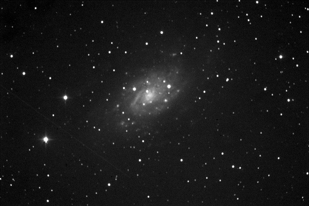 Immagine:NGC2403_20180113_0022_240sec_2x2_L1_elab_rid.jpg