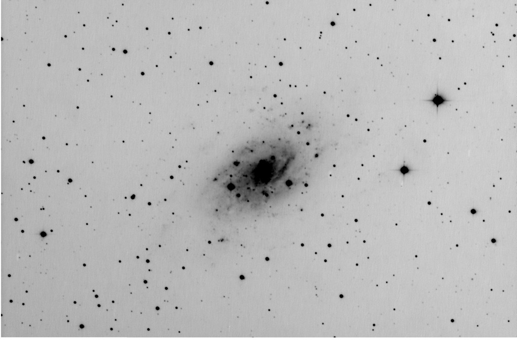 Immagine:NGC_2403_luminance_neg.jpg