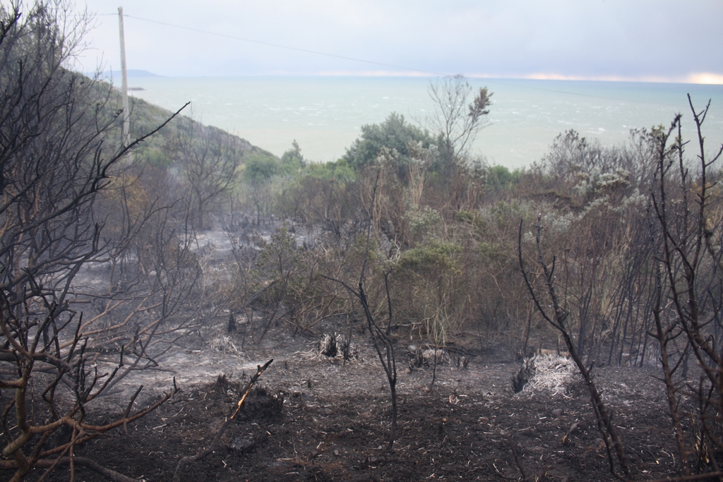 Immagine:Incendio_17-12-2011-00018.jpg