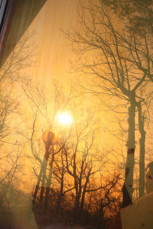 Immagine:Torino_02-03-2013_-_00080.jpg
