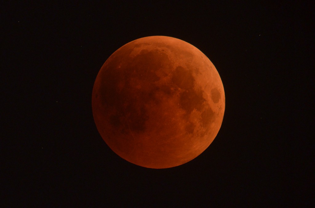 Immagine:2018_07_27_Luna_Rossa_Masi_009.jpg
