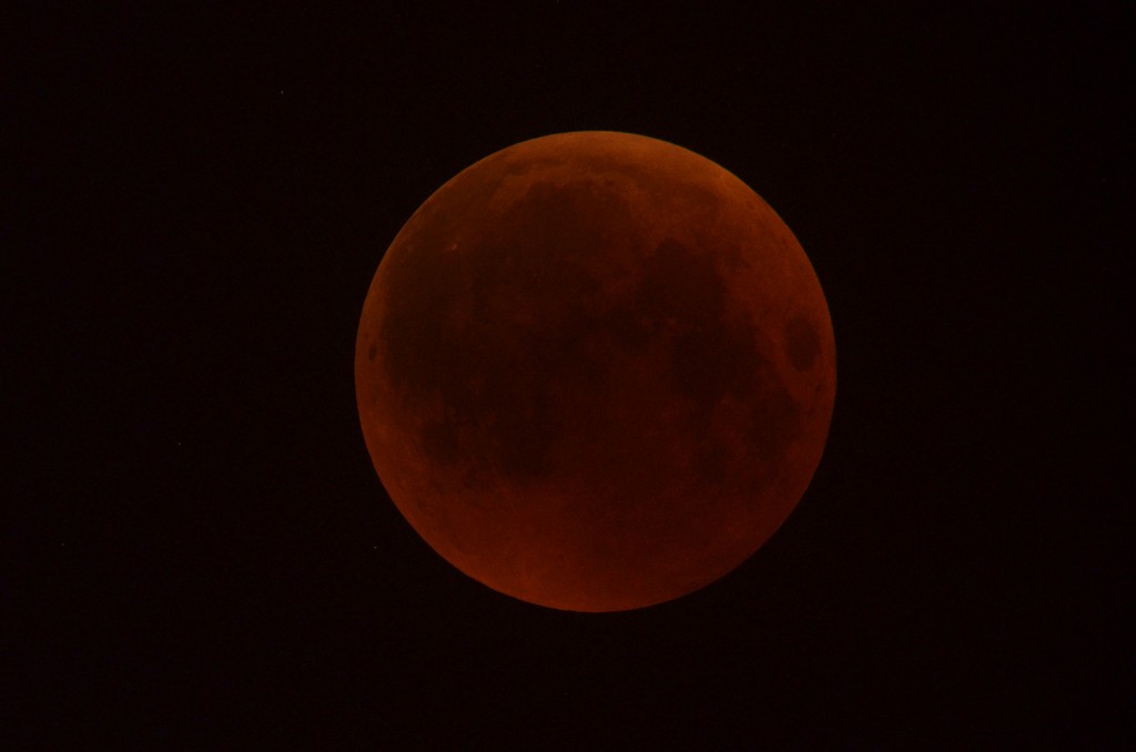 Immagine:2018_07_27_Luna_Rossa_Masi_012.jpg