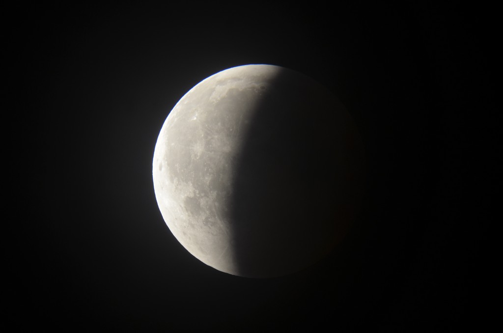 Immagine:2018_07_27_Luna_Rossa_Masi_025.jpg