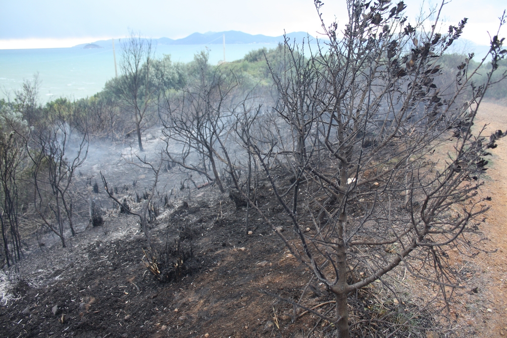 Immagine:Incendio_17-12-2011-00019.jpg