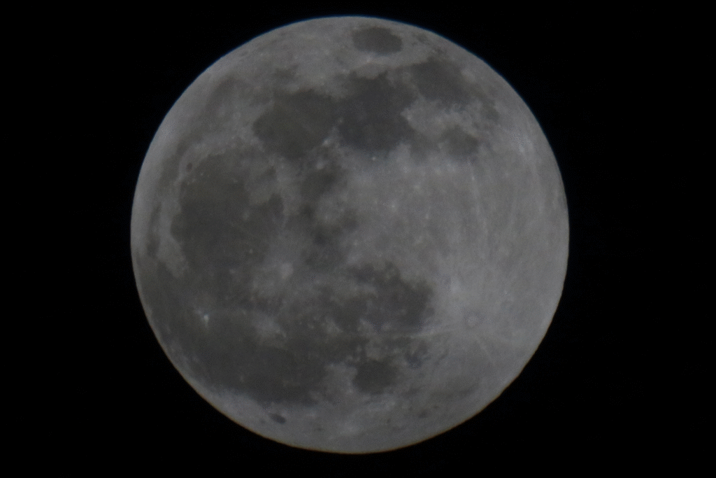 Immagine:2020_01_10_eclissi_lunare_penombra_AAP_gif.gif
