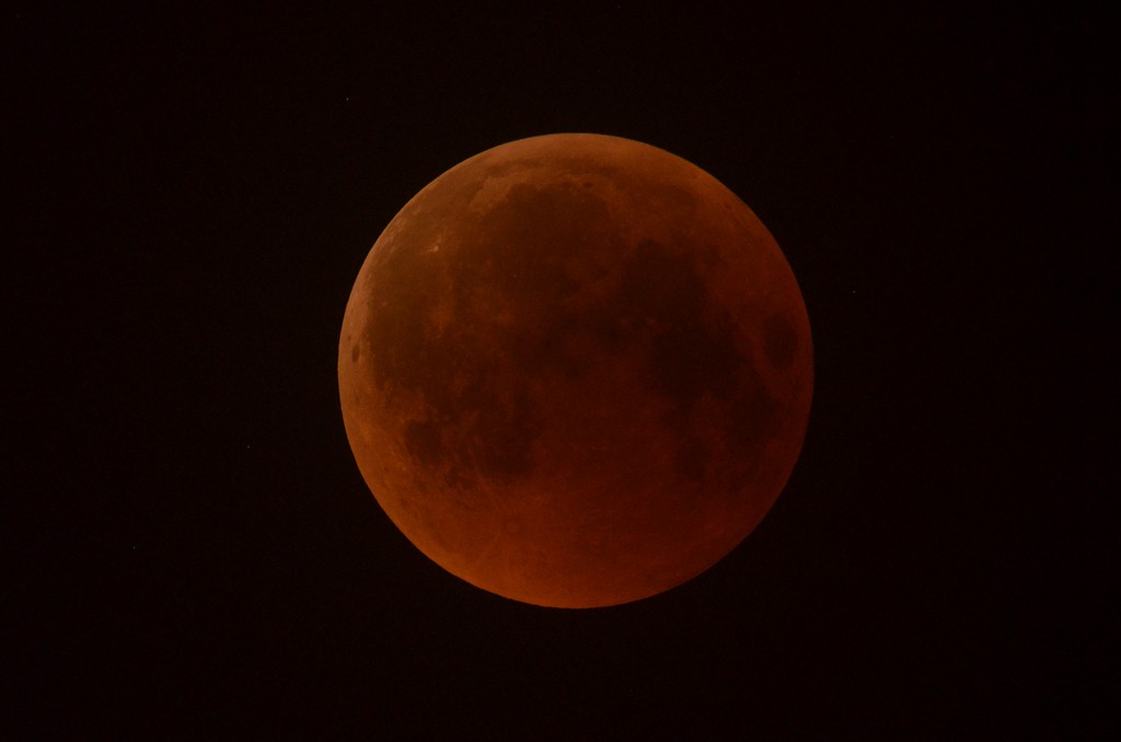 Immagine:2018_07_27_Luna_Rossa_Masi_013.jpg