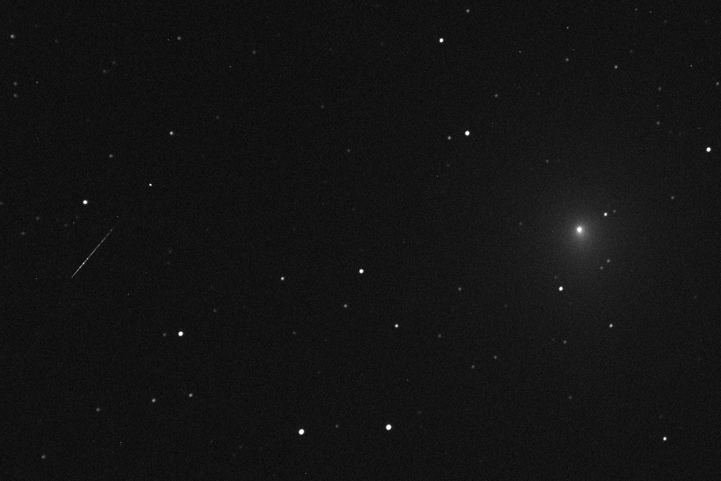 Immagine:46P-032L_cometa_-_meteora_elab_crop.jpg