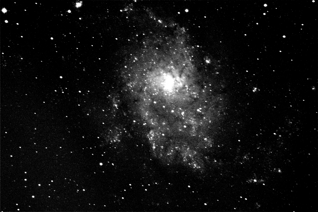 Immagine:M_33_2012_12_28_300s_2x2_elab.jpg