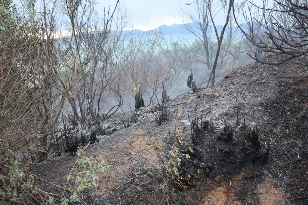 Immagine:Incendio_17-12-2011-00002.jpg
