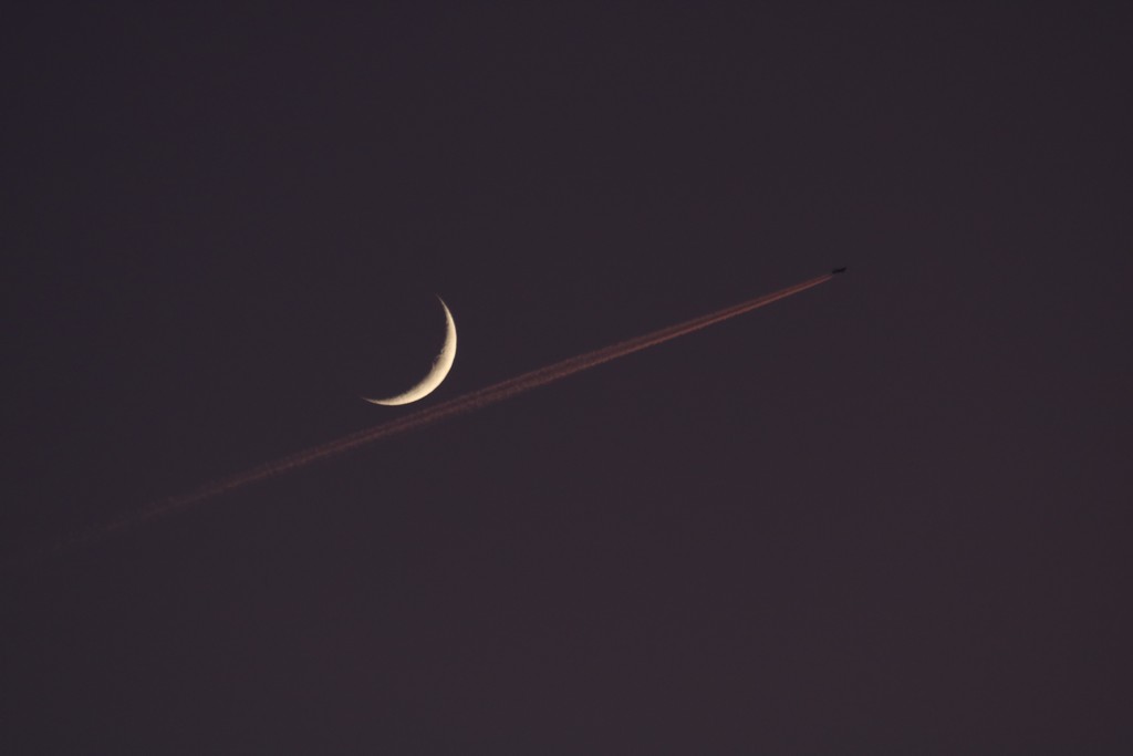Immagine:2019_12_29_Luna_Venere_045.JPG