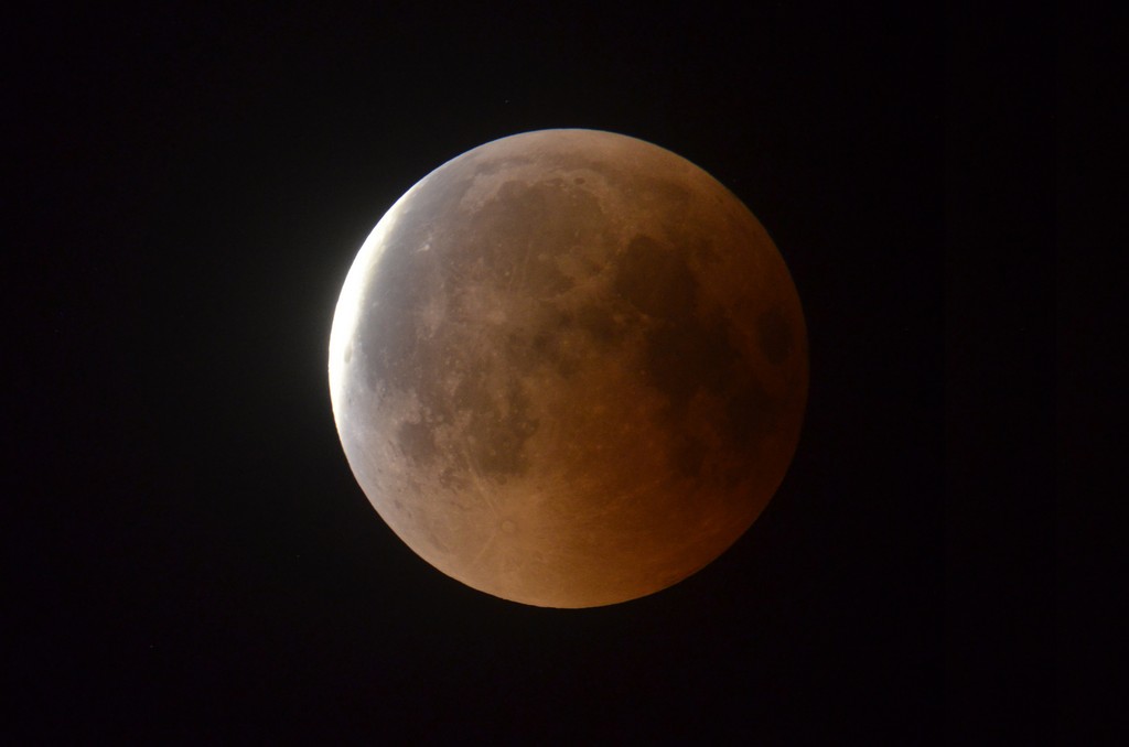 Immagine:2018_07_27_Luna_Rossa_Masi_021.jpg
