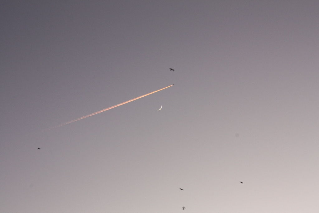 Immagine:Luna_Venere_2011_-_00013.jpg