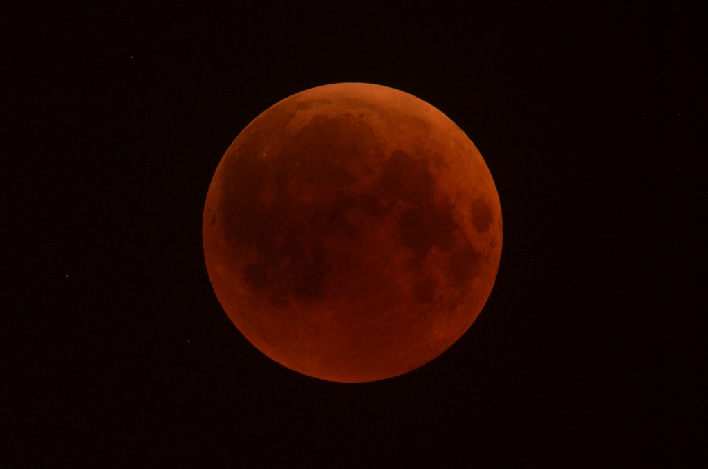 Immagine:2018_07_27_Luna_Rossa_Masi_011.jpg