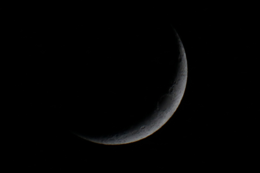 Immagine:IMG_2633_Luna_crop.jpg