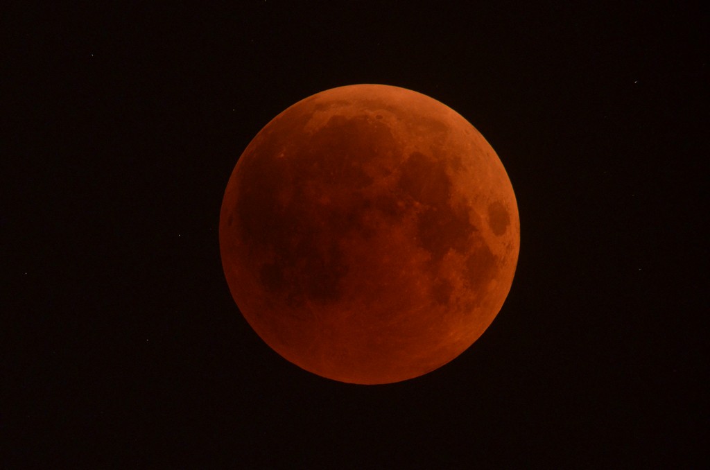 Immagine:2018_07_27_Luna_Rossa_Masi_010.jpg