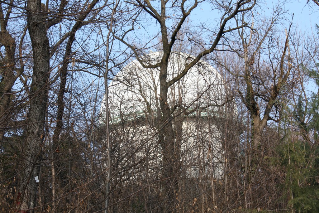 Immagine:Torino_02-03-2013_-_00124.jpg