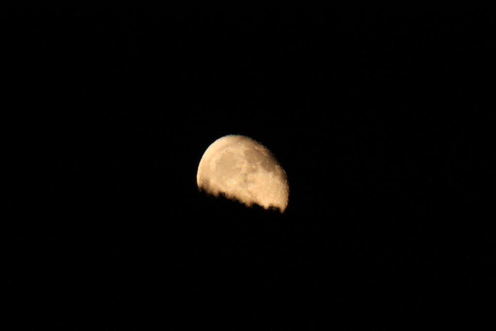 Immagine:Timelapse_Luna_sorge_28-09-2018.gif