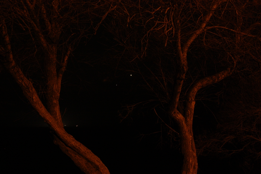 Immagine:Giove_venere_14-03-12_-_00055.jpg