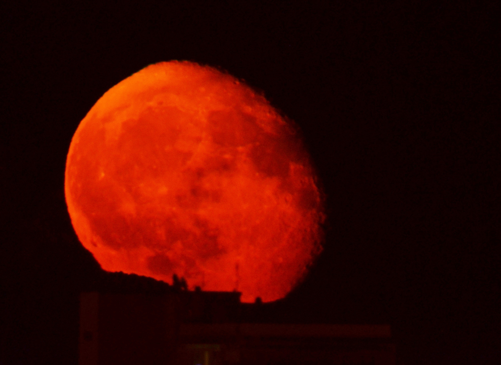 Immagine:Luna_sul_tetto_web.jpg