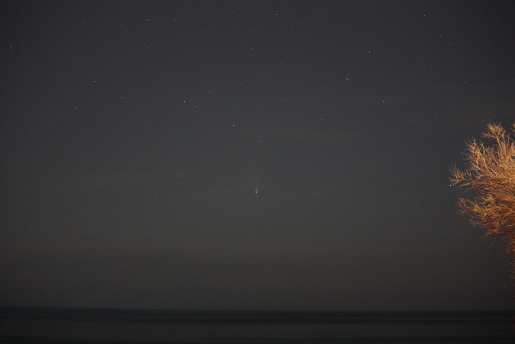 Immagine:Panstarrs_22_marzo_-_00006.jpg