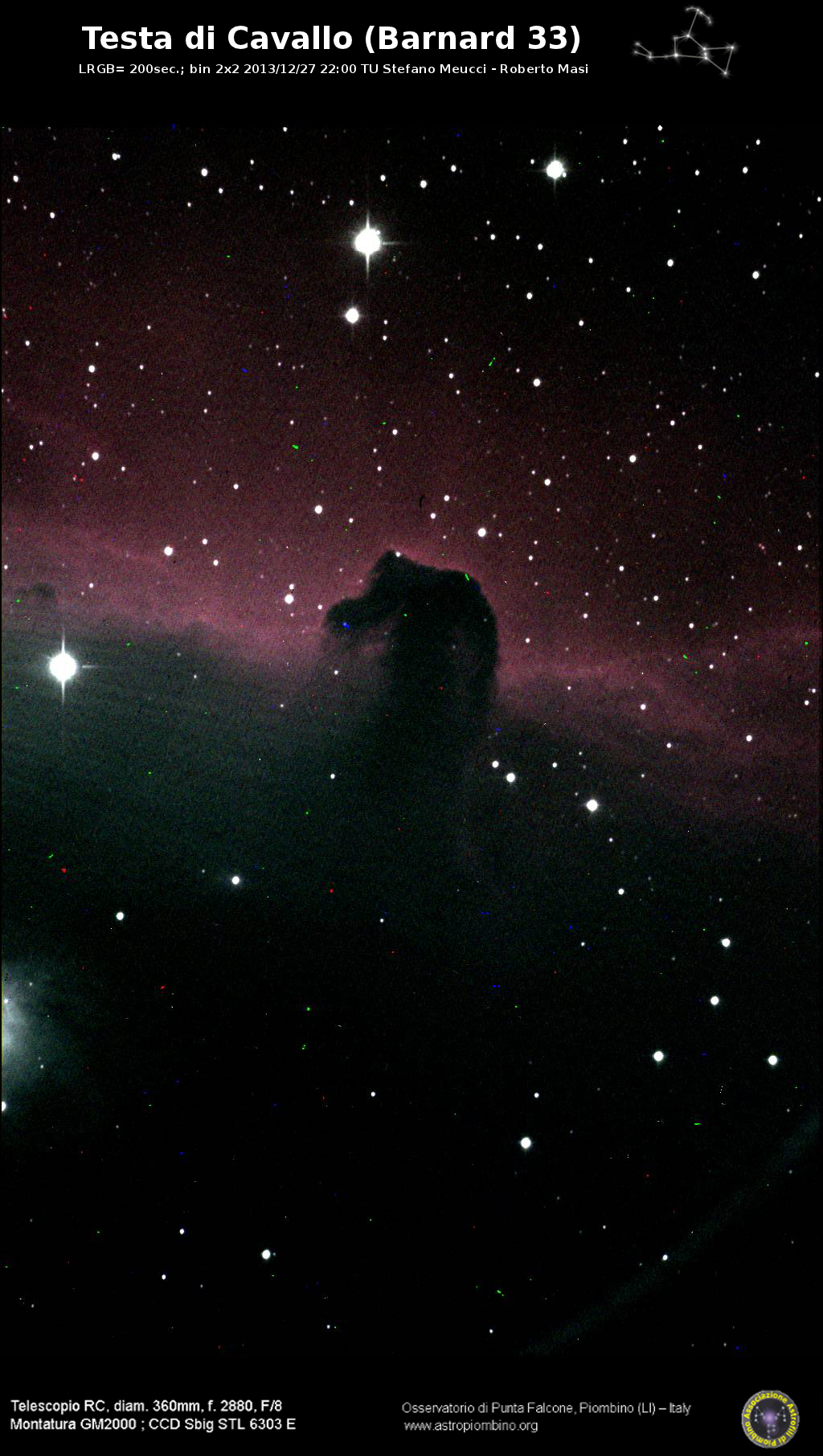 Immagine:Testa_di_cavallo_27_12_2013.jpg