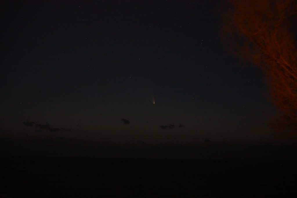 Immagine:Panstarrs_18_marzo_-_00010.jpg
