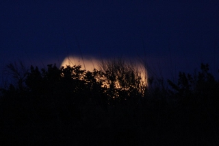 Immagine:Eclisse_luna_10-11-2011-00001.jpg