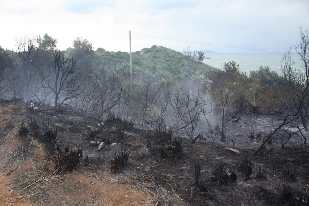 Immagine:Incendio_17-12-2011-00017.jpg