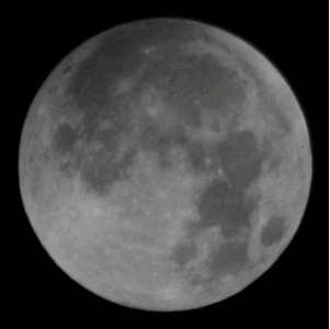 Immagine:Luna_rossa_2015.gif