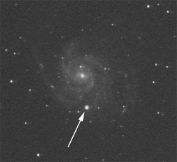Immagine:Supernova M101 06-09-11 small.jpg
