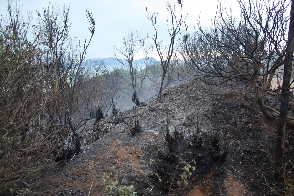Immagine:Incendio_17-12-2011-00025.jpg