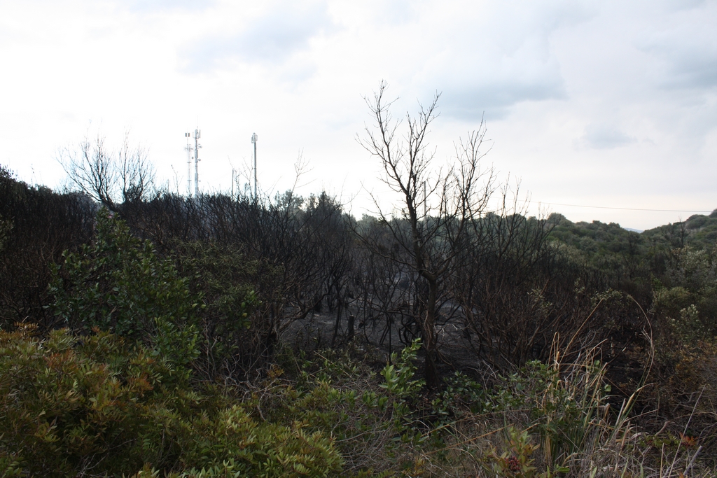 Immagine:Incendio_17-12-2011-00007.jpg