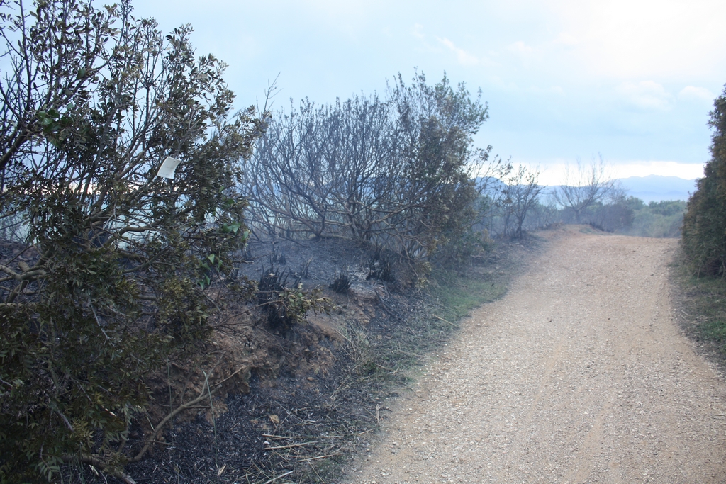 Immagine:Incendio_17-12-2011-00029.jpg
