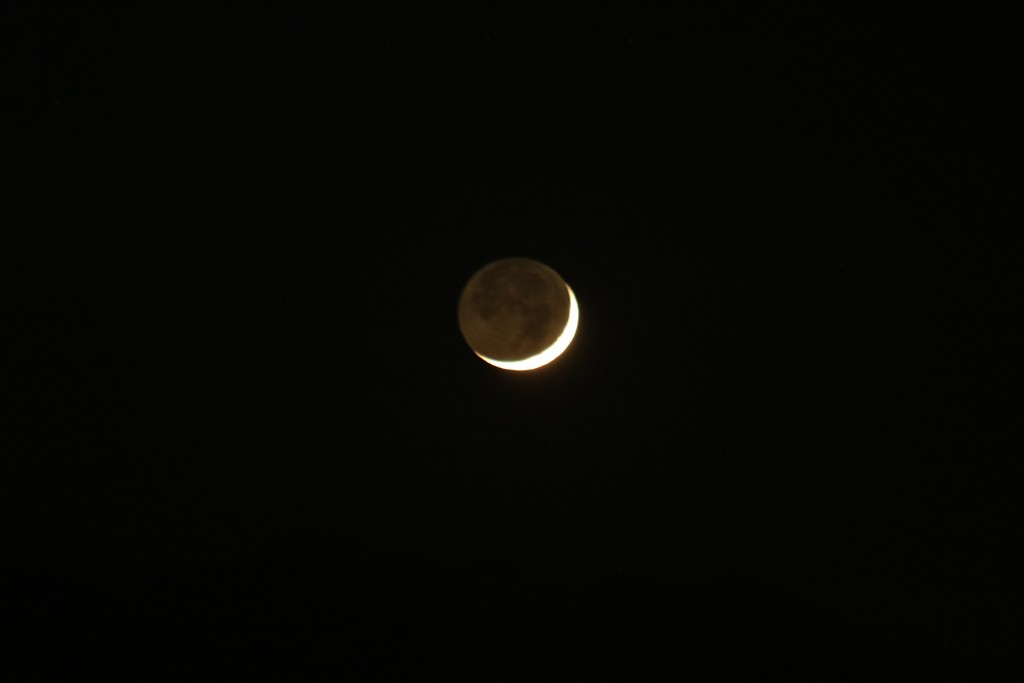 Immagine:2019_12_28_Luna_Venere_057.JPG