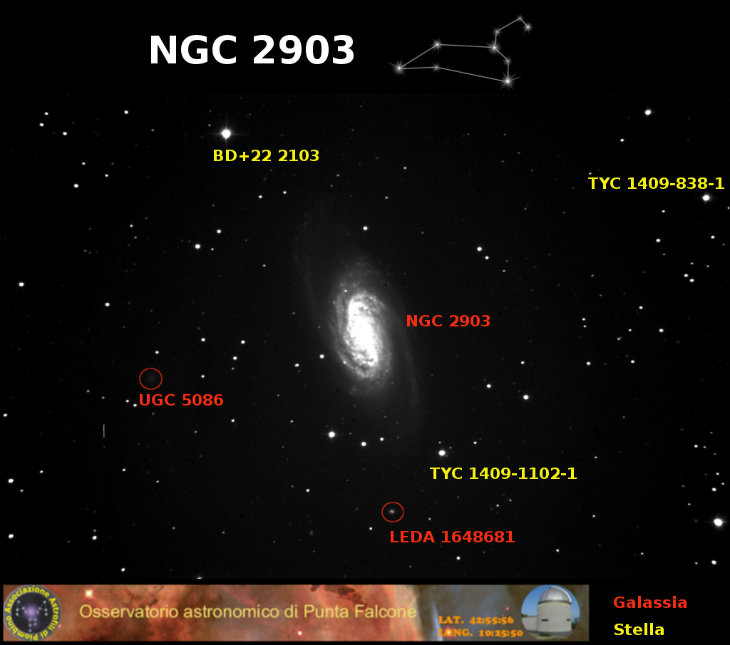 Immagine:Ngc2903_campo.jpg