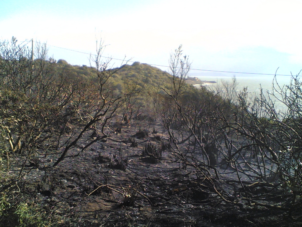 Immagine:Incendio_-00001.jpg