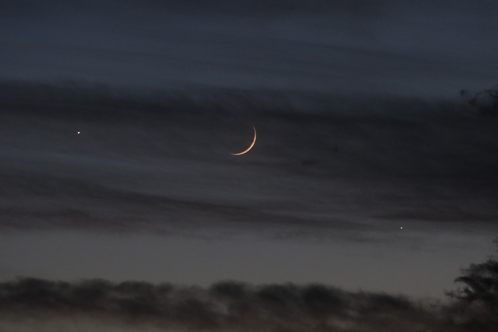 Immagine:2019_11_28_Luna_Venere_Giove_(6).JPG