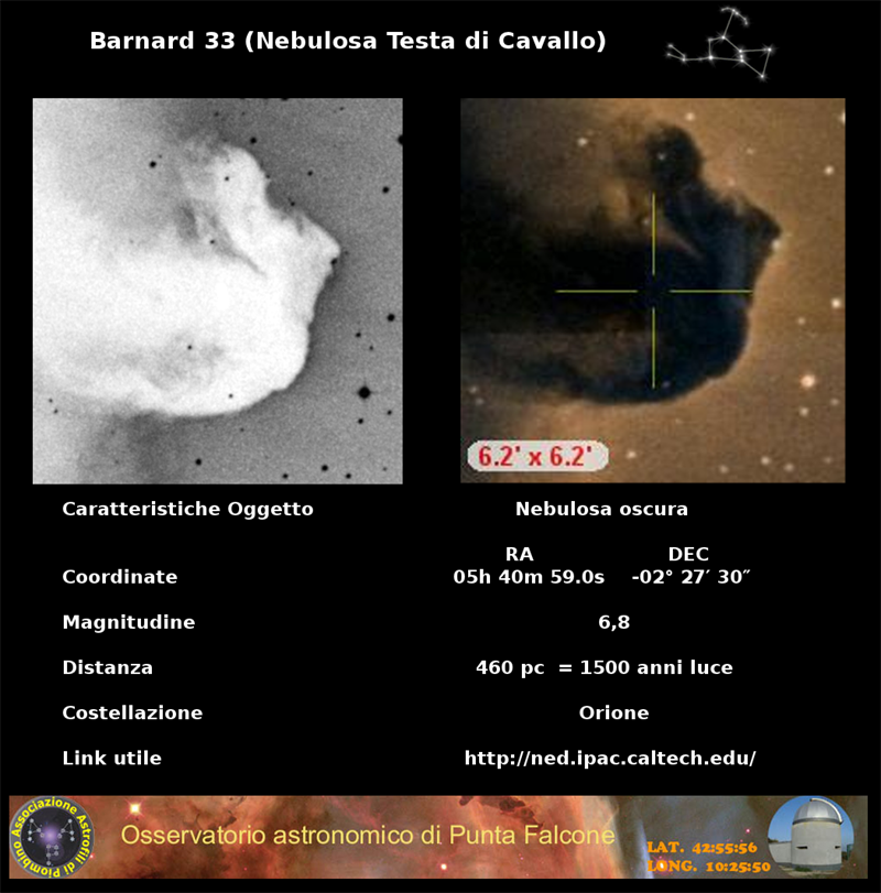 Immagine:Testa_di_cavallo_scheda.png