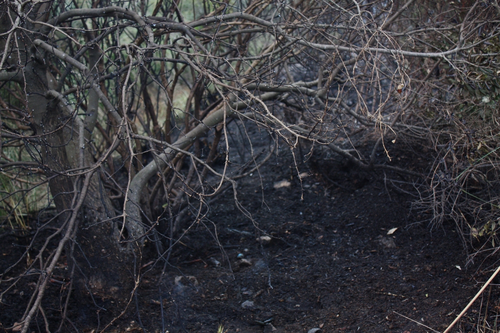 Immagine:Incendio_17-12-2011-00003.jpg