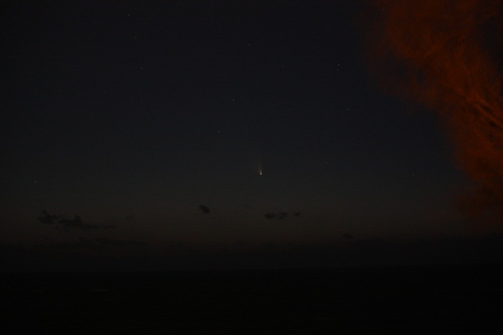 Immagine:Panstarrs_18_marzo_-_00009.jpg