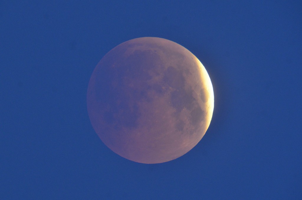 Immagine:2018_07_27_Luna_Rossa_Masi_001.jpg