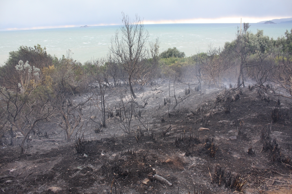 Immagine:Incendio_17-12-2011-00004.jpg