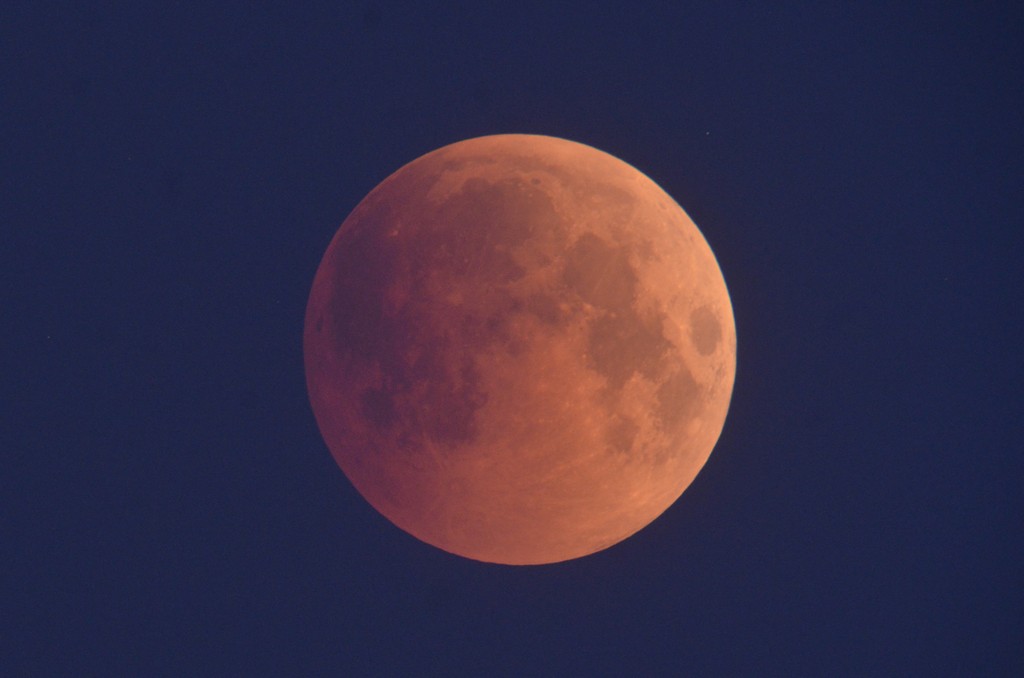 Immagine:2018_07_27_Luna_Rossa_Masi_005.jpg