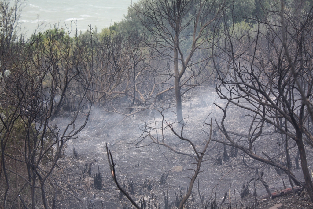 Immagine:Incendio_17-12-2011-00020.jpg