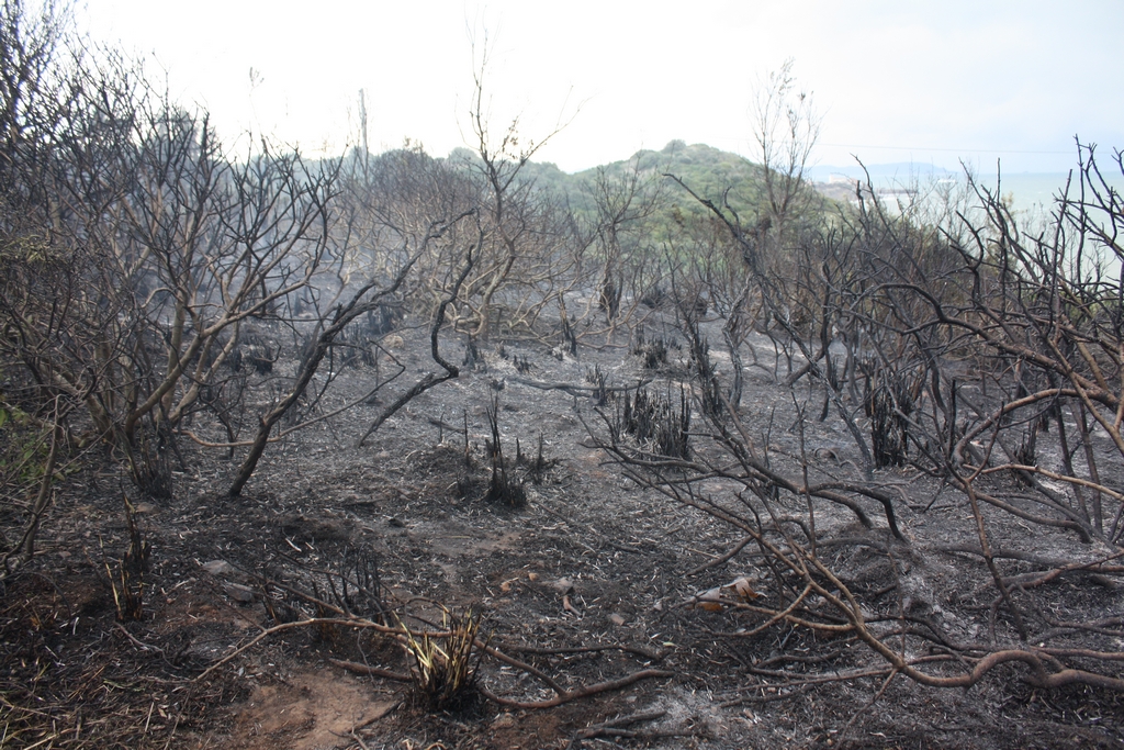Immagine:Incendio_17-12-2011-00005.jpg